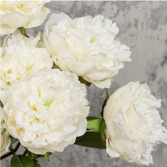 Real Touch Peony Cream 70cm Artificial Flowers